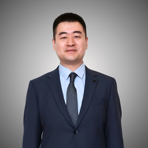 Ding Lei