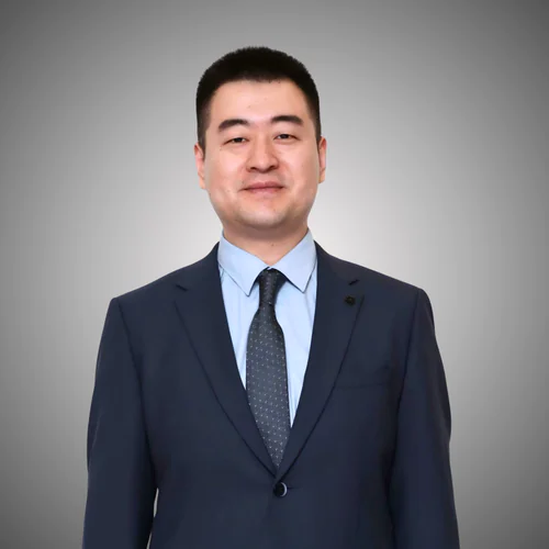 Ding Lei